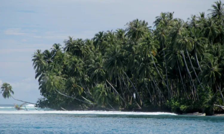 Pantai di Pulau Nias (Sumber : commons.wikimedia.org)