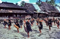 Desa Bawomataluo, Desa Wisata Nias yang Sarat akan Adat dan Budayanya