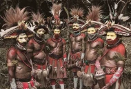 Gen Denivosan Langka Ditemukan Di Tubuh Penduduk Papua Nugini